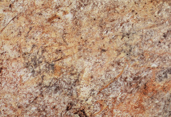 beige wood texture and background