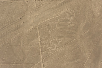 Nazca - Baum