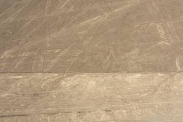 Nazcar Linie - Geometric Lines