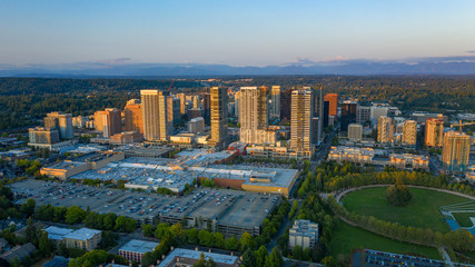 Drone shot of the city of Bellevue from above © adonis_abril