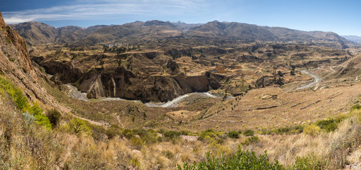 Peru - Colca Canyon