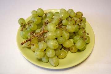 Bunch of green grapes on light green plate