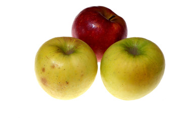 Yellow and red apples on white background isolated