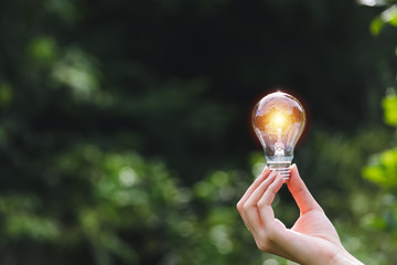 Hand of person holding light bulb on the nature background for solar,energy,idea concept.