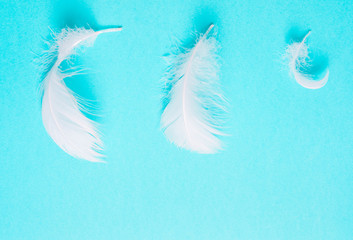 White feathers on blue background. Concept of purity. Art, creative.