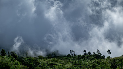 Foggy autumn landscape. Colorful fog and mountains on morning sky background. 