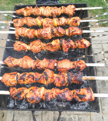 Barbecue on the grill. Picnic