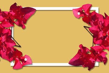 leaf illustrations, in full color, for templates and backgrounds, and covers. for design elements