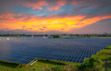 Solar panels (solar cell) in solar farm with sunset