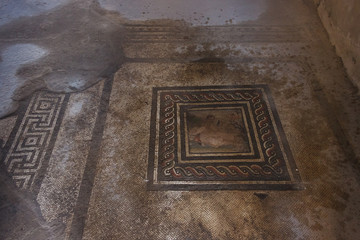 Fragment of the mosaic floor. Picturesque ruins of the ancient city of Pompeii