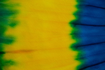 Tie Dye green and yellow color , abstract texture and background , hippie and reggae style .