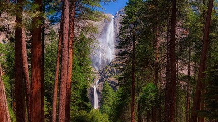 waterfall in the forest