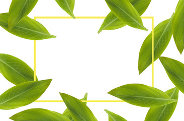 advertising banner copy space with leaf