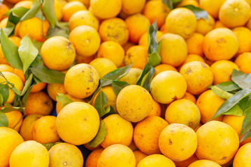 ripe organic oranges on full frame