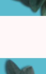 leaf illustrations, in full color, for templates and backgrounds, and covers. for design elements