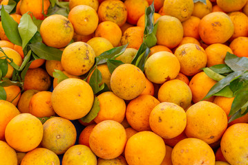 ripe organic oranges on full frame