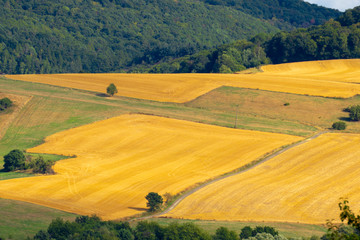 Fototapeta na wymiar Landschaftsbilder aus der Pfalz in Rheinland-Pfalz