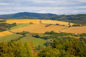 Landschaftsbilder aus der Pfalz in Rheinland-Pfalz