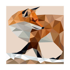 Polygon vector line wild fox