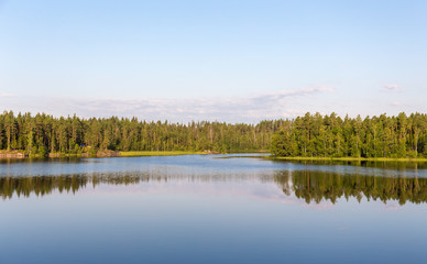 forest lake in summer