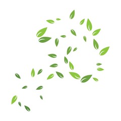 Naklejka premium Green leaf logo ecology