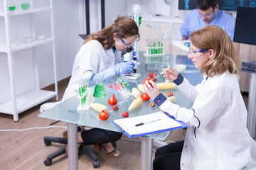 Team of scientist working together in a research lab doing biological test on tomatoes