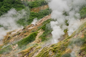 Valley of Geysers in Kronotsky Nature Reserve. Geyser field on Kamchatka Peninsula, Russia. Slope...