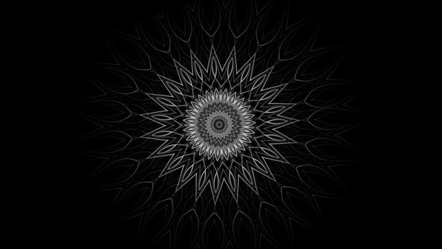 bautiful floral mandala background - seamless looping (FULL HD)
