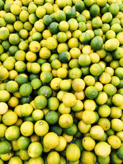 Natural Yellow And Green Lemon