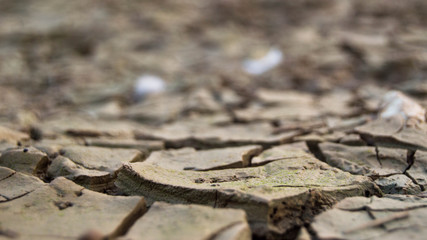 Dry ground with cracks.