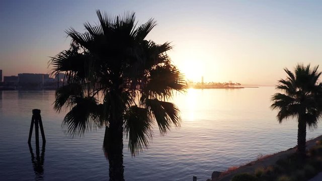 Silhouette Palm Trees with Golden Orange Sunrise Over Purple Sea and Skyline
