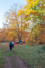 Fototapeta premium Luxembourg-City