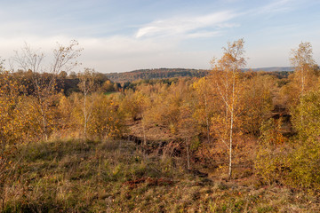 Obraz premium Minett