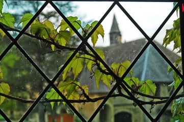 Orval, l'Abbazia trappista - Belgio	