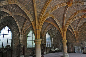 Orval, le rovine dell'antica Abbazia trappista - Belgio	