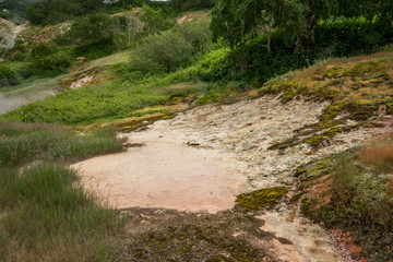 Valley of Geysers in Kronotsky Nature Reserve. A geyser field on Kamchatka Peninsula, Russia. Slopes around Geysernaya River, into which geothermal waters flow from stratovolcano Kikhpinych.