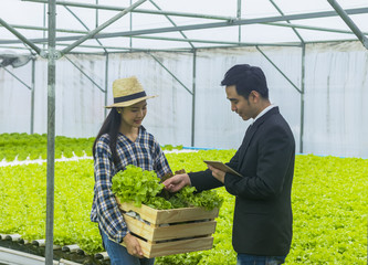 Asian beautiful farmer raised a basket of organic vegetables for the businessmen to check the quality to agree to buy and sell. Small business success concept