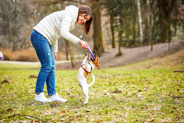 Young stylish hipster woman walking with jack russell puppy in the park
