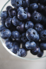 Blue Berry Close-up Three