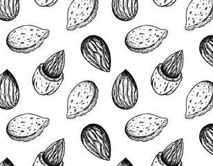 Vector illustration of sketch hand drawn pattern with graphic almond nuts isolated on white background. Vintage drawing, organic, vegan, food wallpaper. Line Art, engraving texture with nut seeds. - 282687261