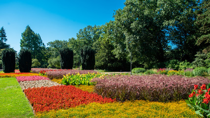 Obraz premium Lots of flowers in the park on a sunny day