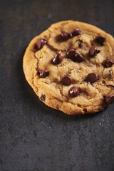 Chocolate Chip Cookie on Dark Rustic Surface
