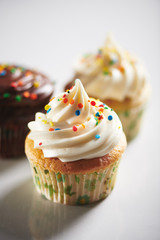 Closeup of Cupcakes with Rainbow Sprinkles on White