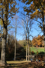 Park views, Oliver Winery, Indiana