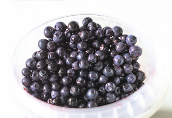 wild blueberries, delicious fruits with exceptional antioxidant properties