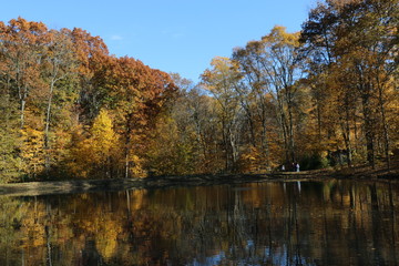 Park views, Oliver Winery, Indiana