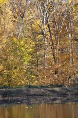 Park views, Oliver Winery, Indiana