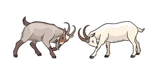 Butting goats - vector illustration