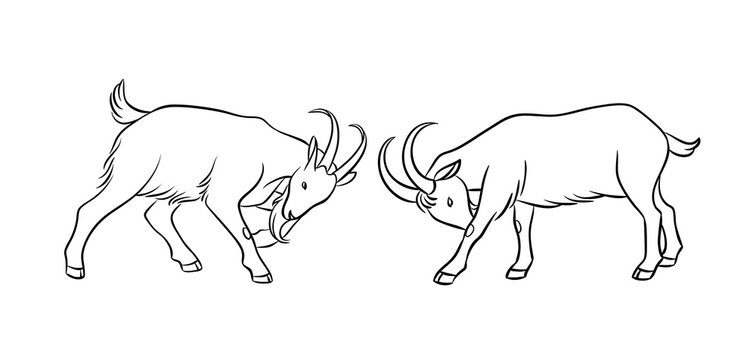 Butting goats in contours - vector illustration