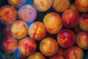 A group of ripe peaches in a bowl with water